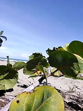 Snapshot of Luna-Natural chatting on 14, 12, 2025 Luna-Natural online show from 14, 12, 2025