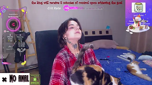 Dark  Elf online show from 10, 5, 2026
