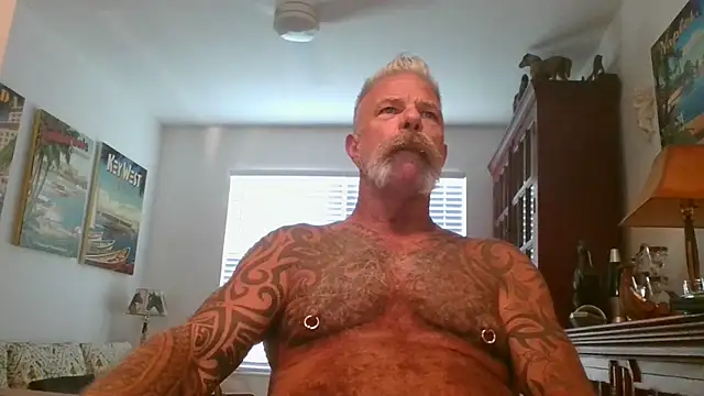 njdbear online show from 1, 11, 2025
