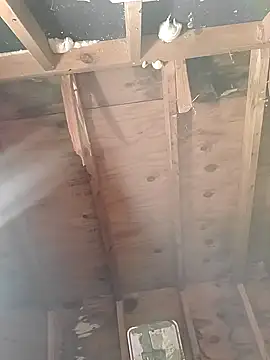 Snapshot of MaddyC6992 chatting on 26, 12, 2024 MaddyC6992 online show from 26, 12, 2024