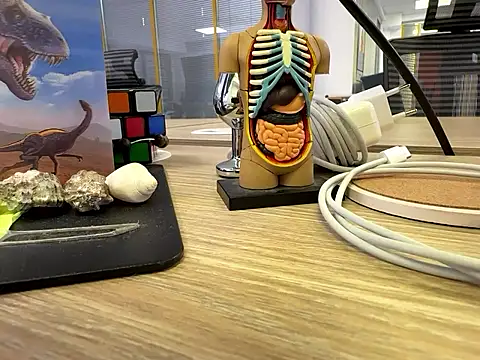 Snapshot of fmodel chatting on 24, 9, 2025 fmodel online show from 24, 9, 2025