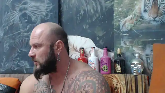 viking 30 online show from 25, 9, 2025