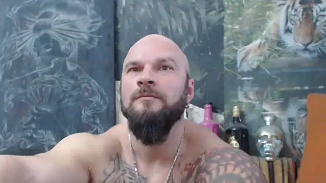 viking 30 online show from 28, 11, 2025