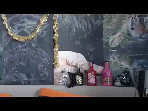 Snapshot of viking_30 chatting on 20, 2, 2026 viking 30 online show from 20, 2, 2026