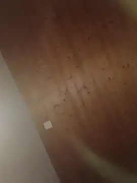 Kw8585kw online show from 1, 3, 2026