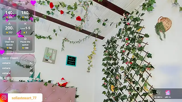 steewart  online show from 13, 12, 2024