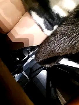 Snapshot of Dirtyfeelin chatting on 18, 11, 2025 Dirtyfeelin online show from 18, 11, 2025