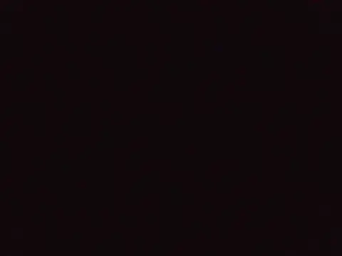CKLeaks online show from 8, 7, 2026