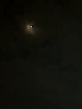 jesusthedonkey online show from 30, 11, 2025