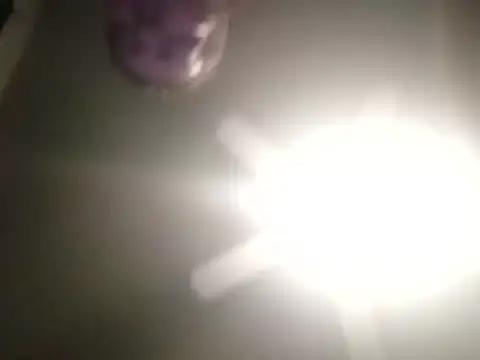 thefire420 online show from 3, 12, 2024