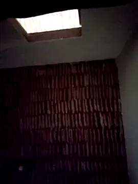 Snapshot of catdool chatting on 22, 1, 2025 catdool online show from 22, 1, 2025