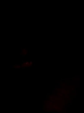 Snapshot of websterribeiro chatting on 11, 3, 2026 websterribeiro online show from 11, 3, 2026