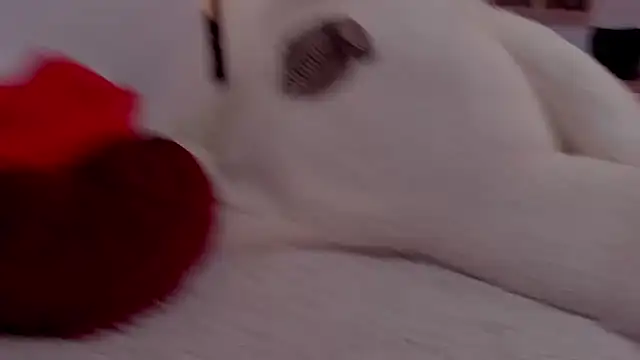 aryahunt1 online show from 12, 2, 2025