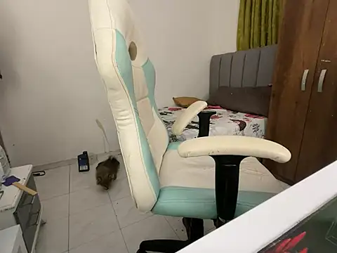 Snapshot of Max_TheHorseDick chatting on 14, 12, 2024 Max TheHorseDick online show from 14, 12, 2024