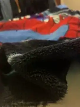 Red Foxxx25 online show from 27, 11, 2025