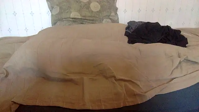 Snapshot of hamstergrabben chatting on 24, 2, 2025 hamstergrabben online show from 24, 2, 2025