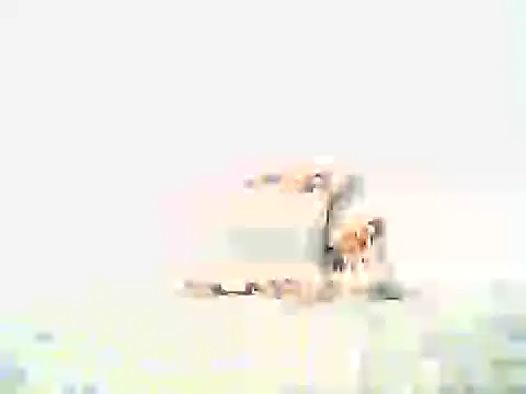 mellow smoke online show from 10, 4, 2026