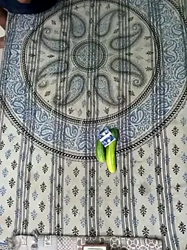 Snapshot of PrabV0319 chatting on 5, 11, 2025 PrabV0319 online show from 5, 11, 2025