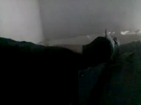 Snapshot of Dnbigo89 chatting on 6, 2, 2025 Dnbigo89 online show from 6, 2, 2025