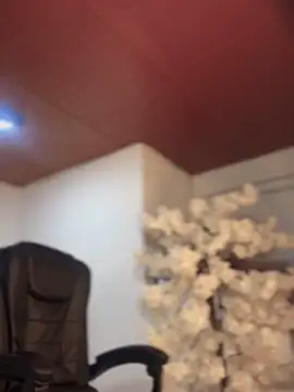 Ambar pe  online show from 10, 11, 2025