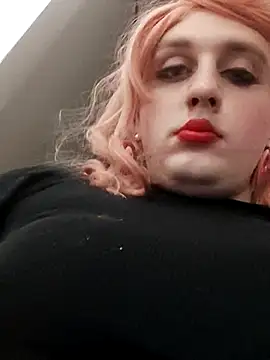 TransNikol97 online show from 2, 5, 2026