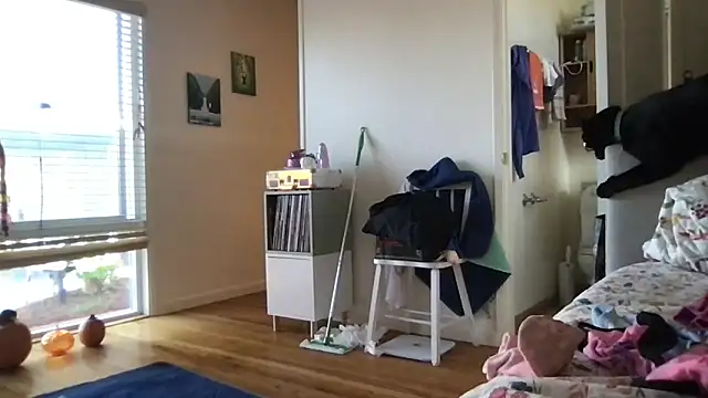 HYPHYtype online show from 17, 10, 2025