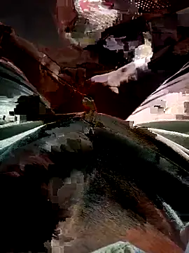 FinableKnee online show from 17, 11, 2025