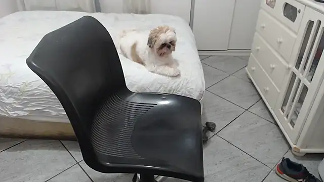 MysterBearMG online show from 25, 11, 2025