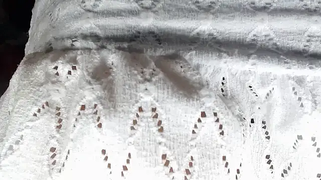 aleera starxx982 online show from 11, 1, 2026