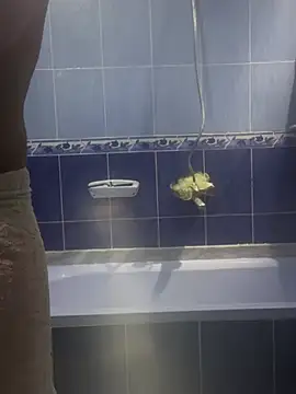 Snapshot of Arabien_Pharaoh- chatting on 20, 3, 2025 Arabien Pharaoh- online show from 20, 3, 2025