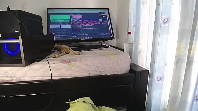 eolicasex online show from 19, 1, 2025