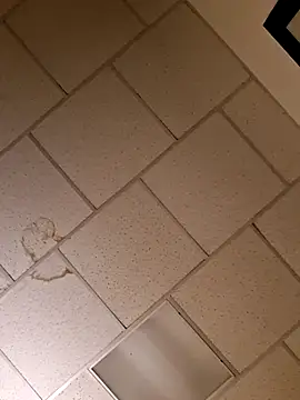 curiouscock38 online show from 20, 11, 2025