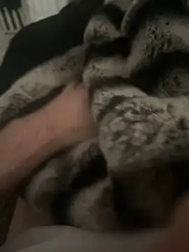 Snapshot of Furdale chatting on 17, 12, 2024 Furdale online show from 17, 12, 2024