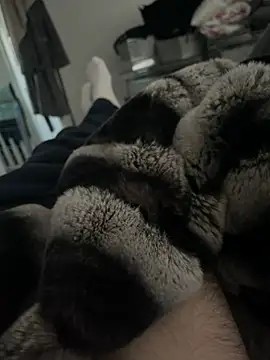 Snapshot of Furdale chatting on 18, 12, 2024 Furdale online show from 18, 12, 2024