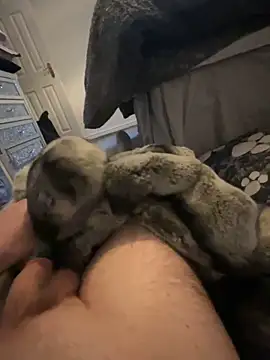 Snapshot of Furdale chatting on 1, 1, 2025 Furdale online show from 1, 1, 2025