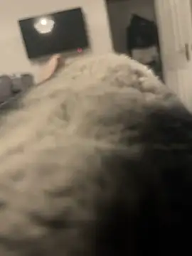 Snapshot of Furdale chatting on 13, 1, 2025 Furdale online show from 13, 1, 2025