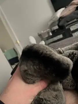 Snapshot of Furdale chatting on 10, 2, 2025 Furdale online show from 10, 2, 2025