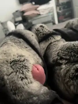 Snapshot of Furdale chatting on 26, 2, 2025 Furdale online show from 26, 2, 2025