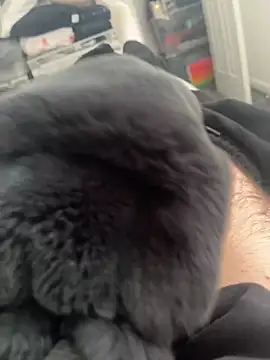 Snapshot of Furdale chatting on 14, 3, 2025 Furdale online show from 14, 3, 2025