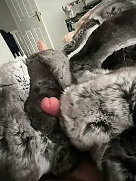 Furdale online show from 22, 2, 2026