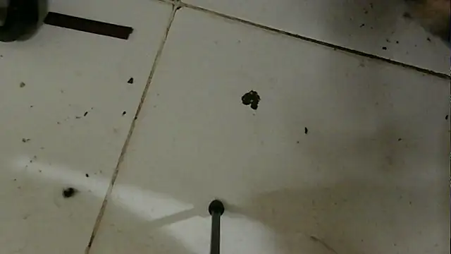 Snapshot of chino_roz chatting on 19, 2, 2025 chino roz online show from 19, 2, 2025