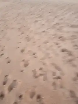 Snapshot of rodovlaz chatting on 17, 9, 2025 rodovlaz online show from 17, 9, 2025