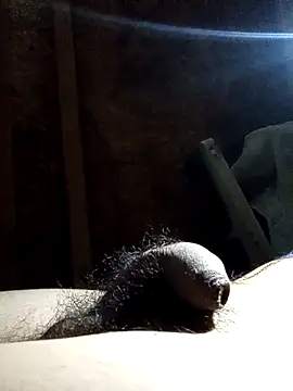 Snapshot of rodovlaz chatting on 12, 11, 2025 rodovlaz online show from 12, 11, 2025