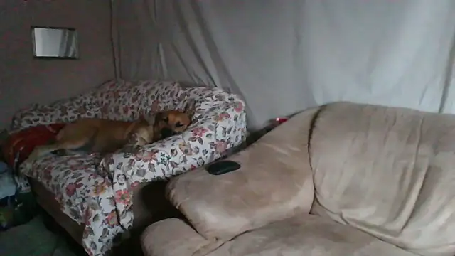 xykenrah48 online show from 18, 3, 2026