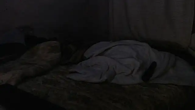 devine TATAS online show from 16, 9, 2025