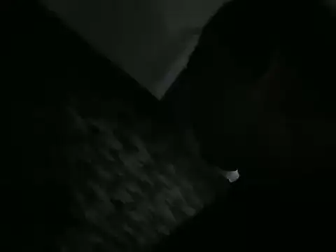 Snapshot of ALPHANDRE chatting on 9, 3, 2026 ALPHANDRE online show from 9, 3, 2026