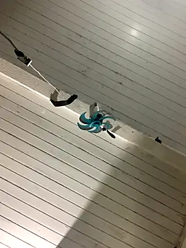 raphadoors19 online show from 17, 12, 2025