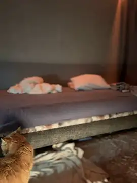 Bastet online show from 16, 1, 2025