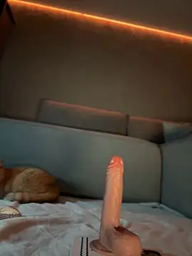 Bastet online show from 8, 3, 2025