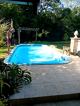 Snapshot of dutra498 chatting on 3, 2, 2026 dutra498 online show from 3, 2, 2026